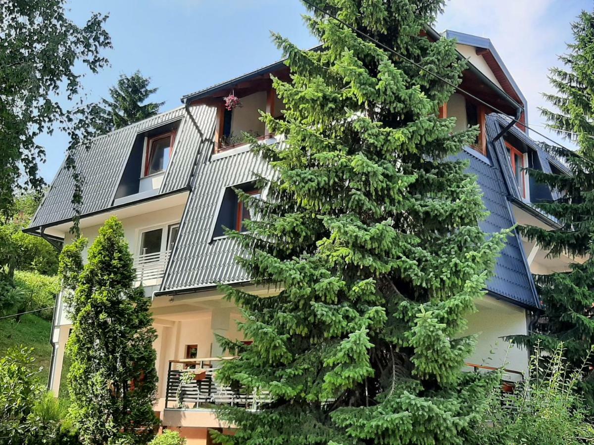 Guesthouse Hill Сараєво Екстер'єр фото