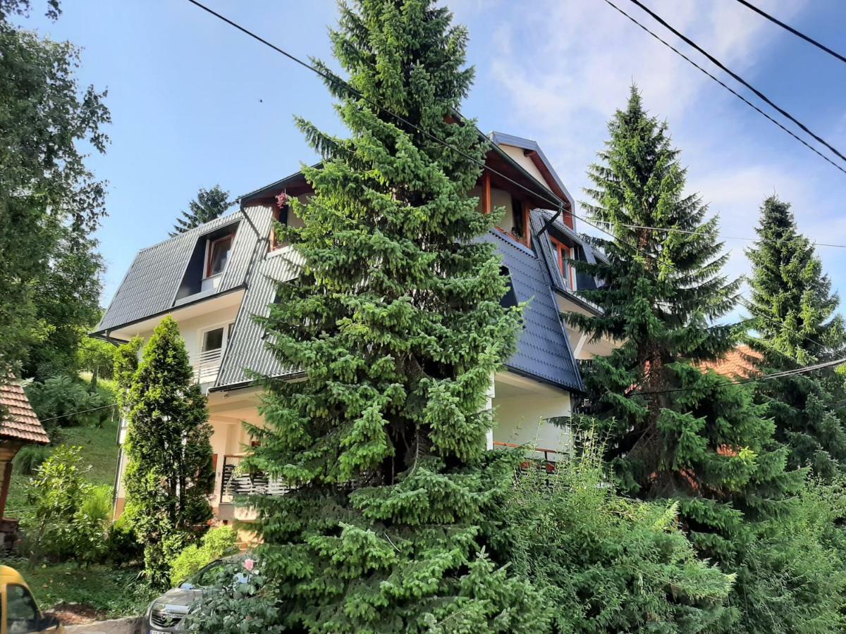 Guesthouse Hill Сараєво Екстер'єр фото